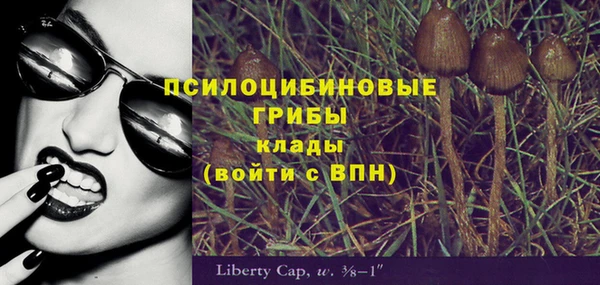 тгк Вязники