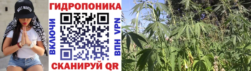 Купить  Верхняя Салда  Каннабис Amnesia 